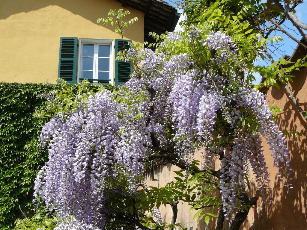 Al Concerto Bed & Breakfast San Benigno Canavese Eksteriør bilde
